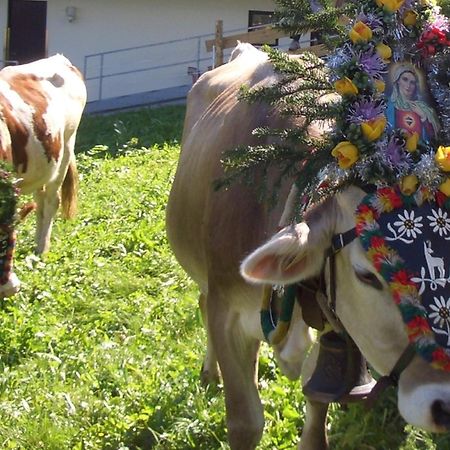Hotel Gasthof Jaeger Zillertal Schlitters Dış mekan fotoğraf